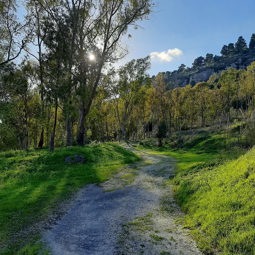 Percorreremo insieme le vie che portano all'essenza.