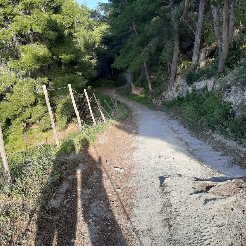 " In ogni passeggiata nella natura, l'uomo riceve molto di piú di ciò che cerca.'' (J.