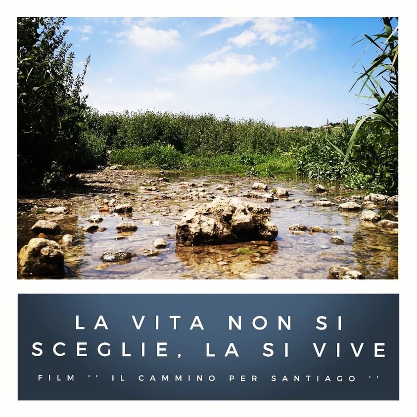 La vita non si sceglie, la si vive.