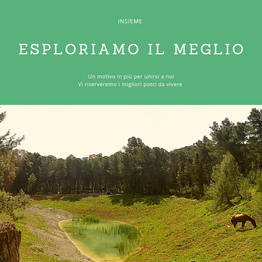 Esploriamo il meglio.