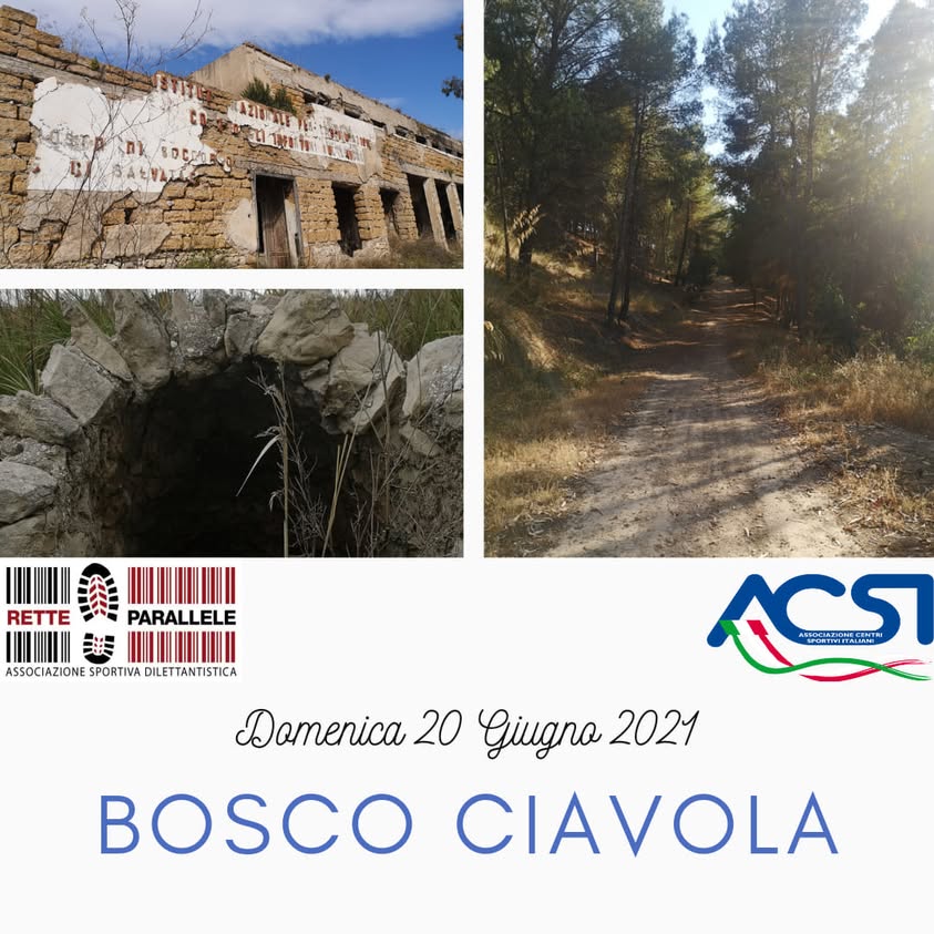 CAMMINATA BOSCO CIAVOLA DOMENICA 20 GIUGNO, ORE 17:00 La camminata avrà come punto di…