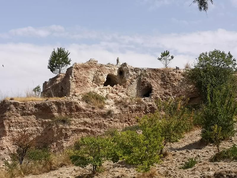 Ci sono realtà come Montedoro che dimostrano che, con un po' di cura e dedizione,…