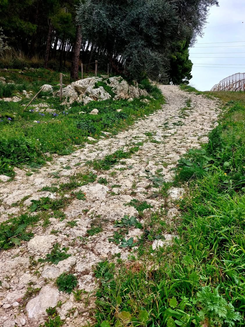 26 Dicembre 2021, ultima uscita dell'anno insieme al nostro bel gruppo di camminatori.