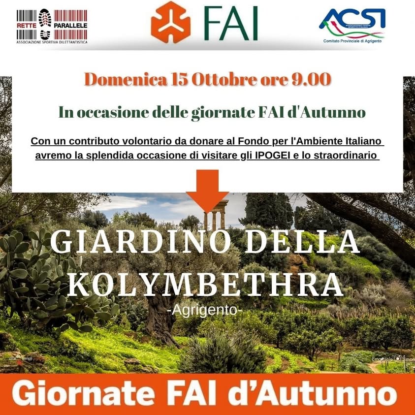 Ed anche questa è stata una bella esperienza.