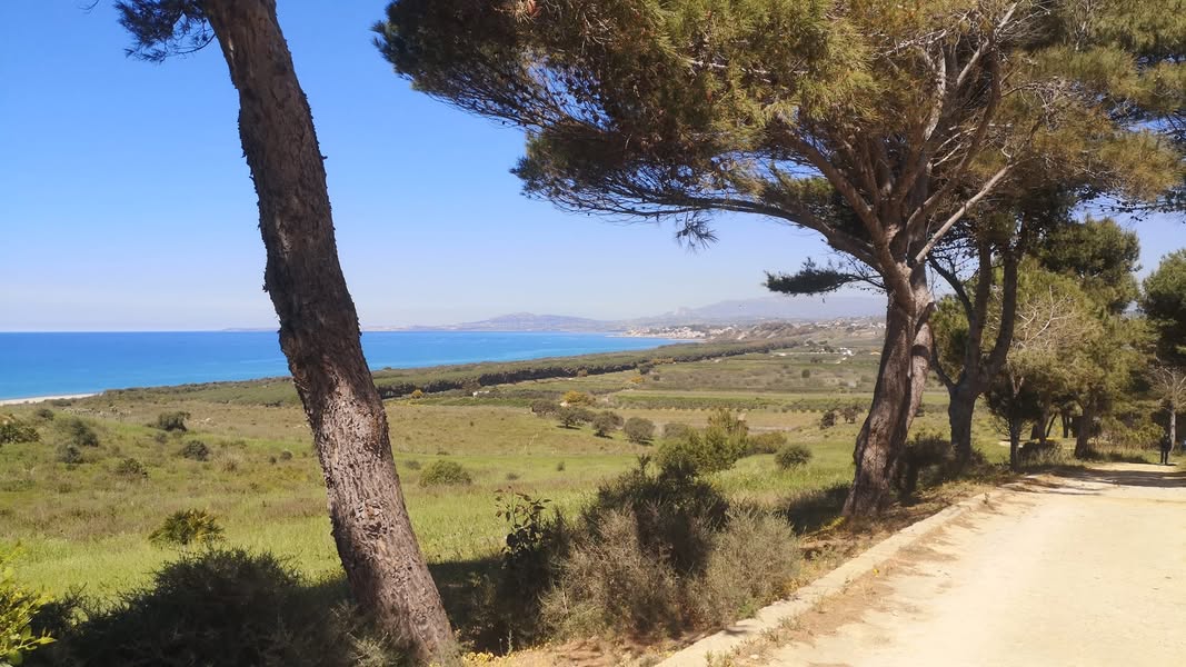 Alla scoperta di semi e piante del Mediterraneo Piacevole esperienza grazie al team…